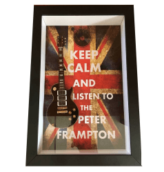 Miniatura Instrumento Musical Guitarra Peter Frampton com quadro