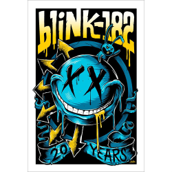 Placa Decorativa Blink-182