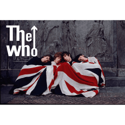 Placa Decorativa The Who