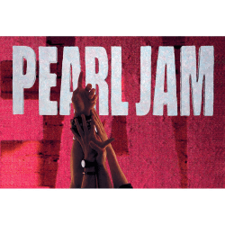 Placa Decorativa Pearl Jam