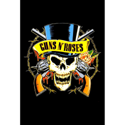 Placa Decorativa Guns n' Roses