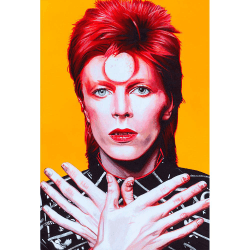 Placa Decorativa David Bowie