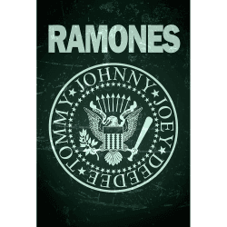 Placa Decorativa Ramones